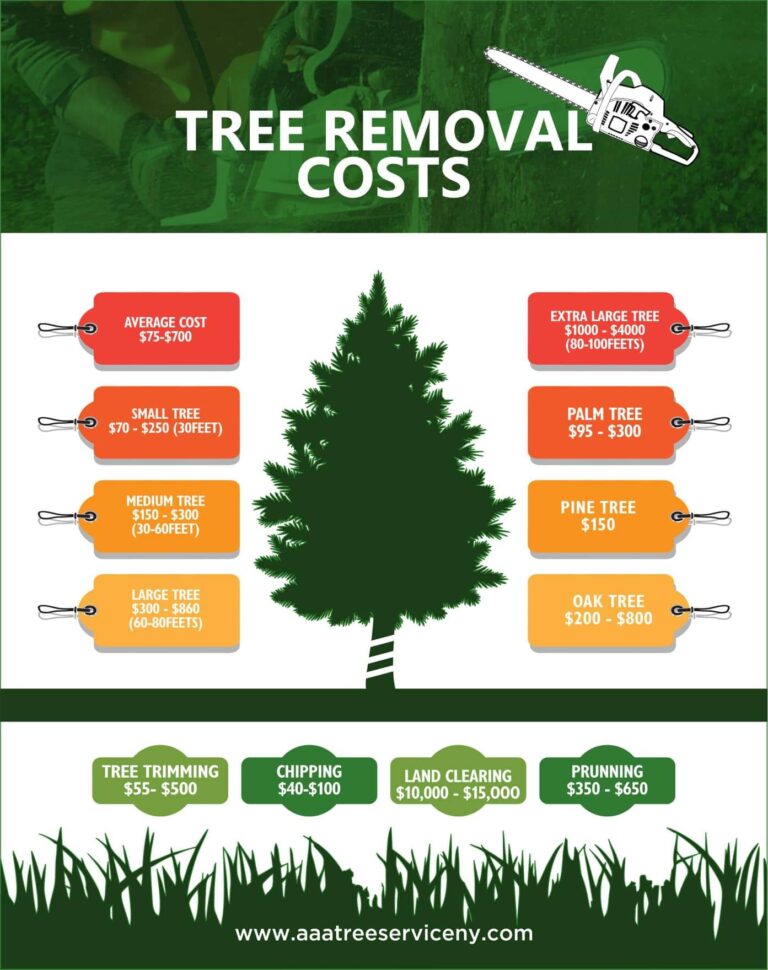 tree-removal-cost-average-cost-to-cut-down-a-tree-cutting-service-cost-ideas-tree-removal