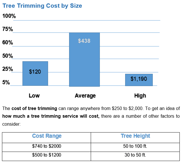 Tree Trimming cost calculator service company who provide cost near my area that include  Small Tree Removal Trimming & Stump RemovalWhat's the Cost of Large Tree Removal