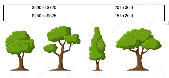 Tree Trimming cost calculator New York