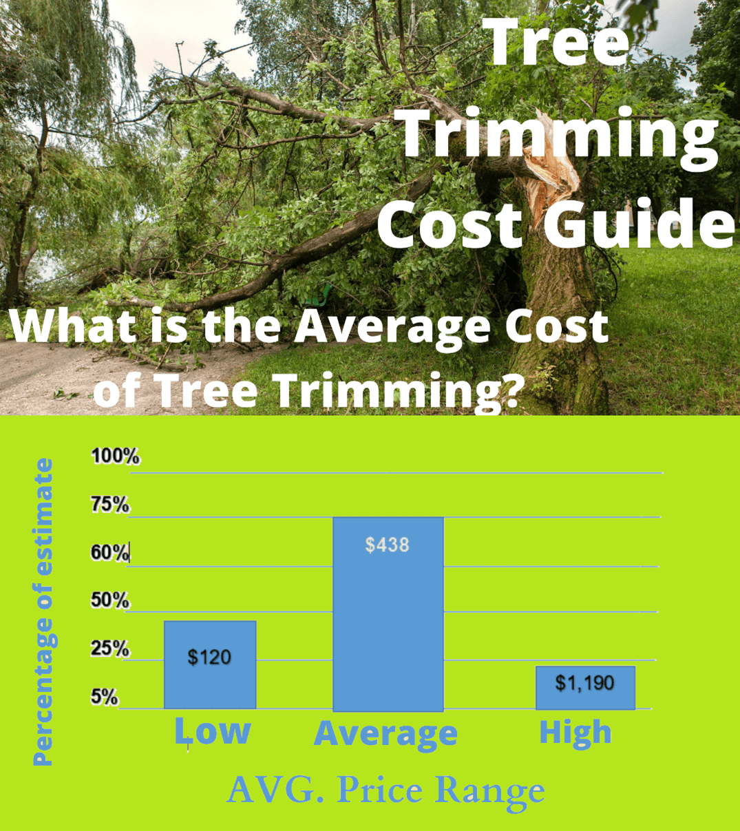 Tree Trimming & Pruning Cost Expert Services How Get Estimate cost