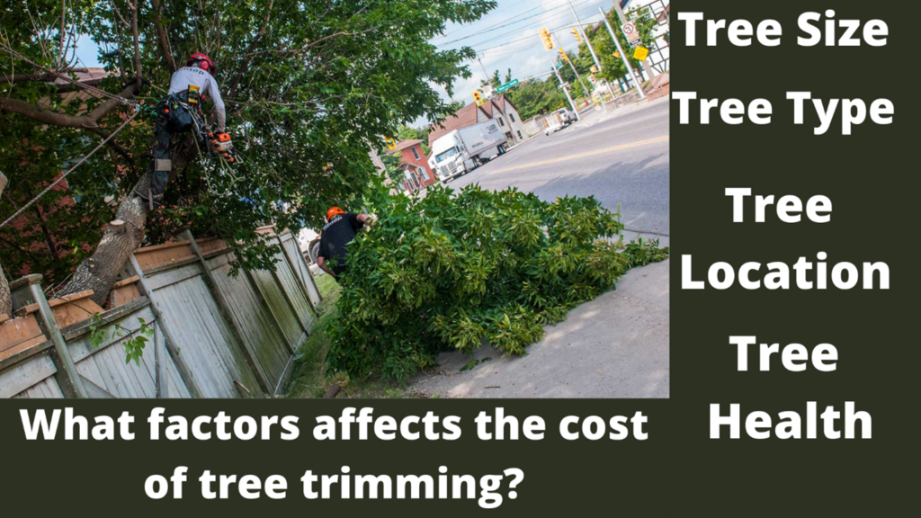 Trimming a tree in your backyard will cost more because 