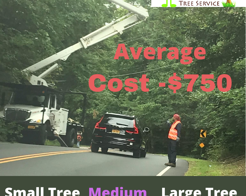 How Much Will Tree Trimming Services Cost You? - A Touch of Class Tree  Service