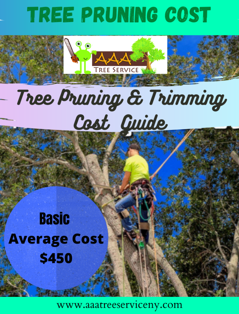 	Palm tree
The costs are about $200 to $1,500. It also depends on how tall it is and any obscuring factors, like power cables or nearby constructions. 
If their height is 30 feet, the standard cost to remove this tree is $200 to $500 or extra to remove. But if a palm tree is 80 feet tall, you may pay $1,100 to $1,500 to have the tree efficiently chopped.
	Oak tree
The average cost is approximately $200 to $2,000 when it grows up to 100 feet. It can rapidly grow up from 60 to 100 feet so that you may be spending up to $2,000 on average Oak tree price.
	Dead tree
Cutting down these trees that quiet intense. The costs will be the same as any other, from $200 to $2,000. It will cost almost as much like a living tree before it falls, the estimated cost is $75 to $150. A professional cut it off and then takes it away. It is mostly used to resell the wood. 
